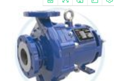 美國Ruhrpumpen懸臂泵Ruhrpumpen軸承泵