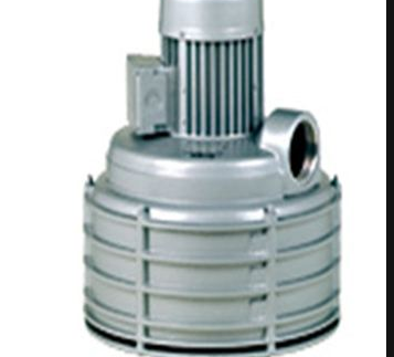 德國Elmo Rietschle離心風機