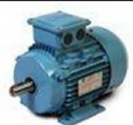 美國(guó)C.E. Niehoff電機(jī)